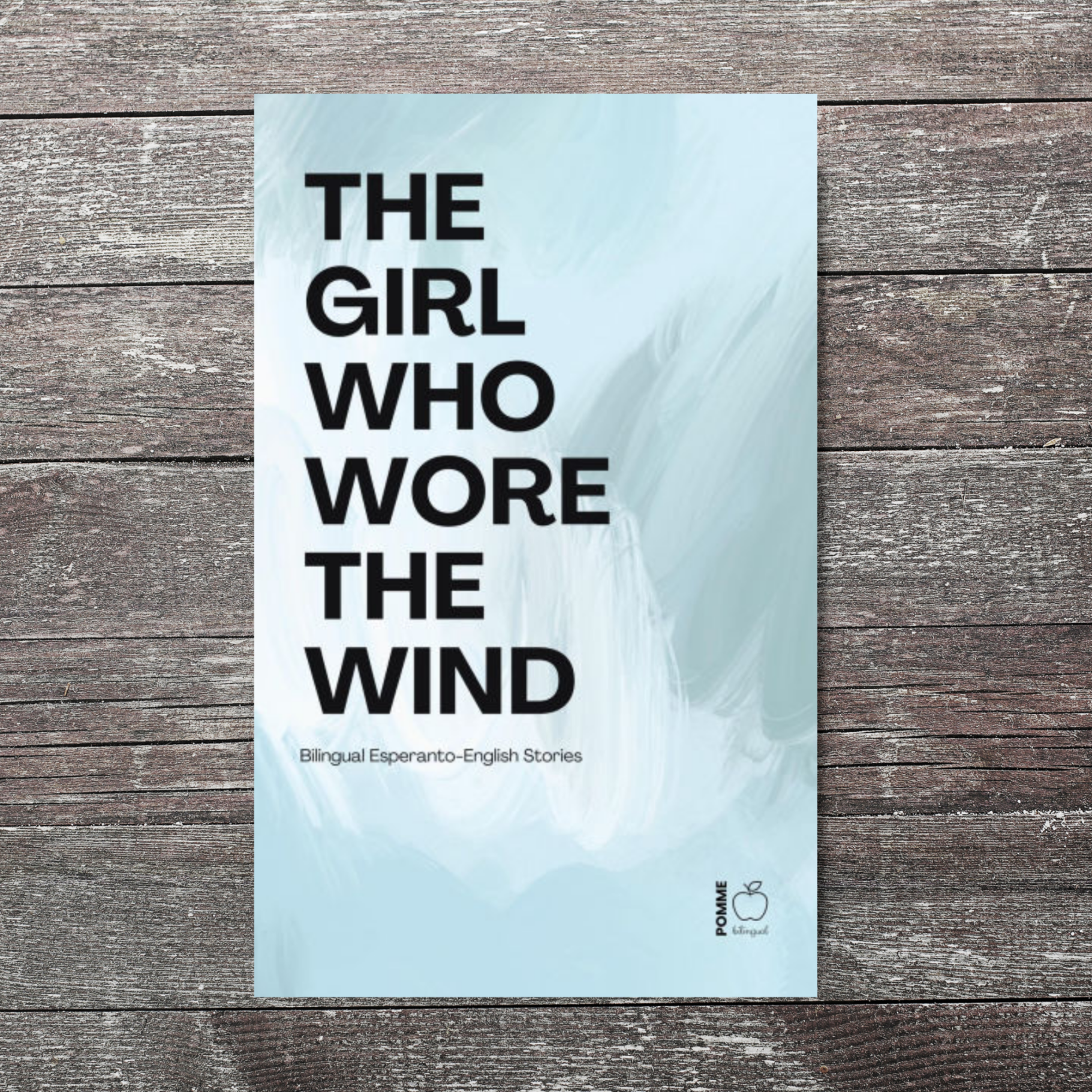 Book cover featuring the title "The Girl Who Wore the Wind" in bold black text on a light blue background.